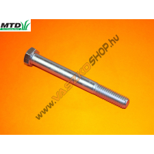 MTD Ékszíjtárcsa felfogató csavar MTD Platninum SD 25/107 H barkácsgép tartozék