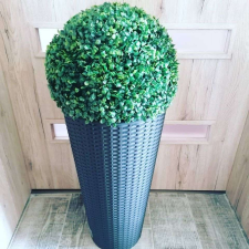Mű buxus sötétbarna rattan hatású kaspóban dekoráció
