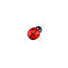  Műanyag katica. Mérete: 10x13 mm dekorációs kellék