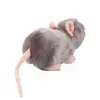  Muki - plüss egér - 16cm