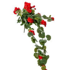  Muskátli futó piros 76cm 12db/# dekorációs kellék