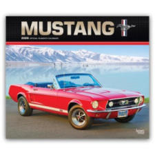  Mustang - Ford Mustang 2026 - 16-Monatskalender im Deluxe-Format naptár, kalendárium