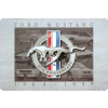 Mustang RETRO Ford Mustang 1964 - 1999 Fémtábla
