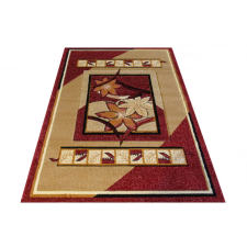 My carpet company kft TOP! Fenix 03 - piros 120 x 170 cm szőnyeg lakástextília