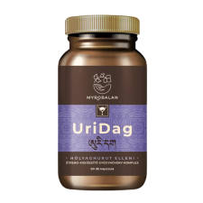 Myrobalan URIDAG hólyaghurut és húgyúti fertőzések elleni gyógynövény-komplex 60 db kapszula gyógyhatású készítmény