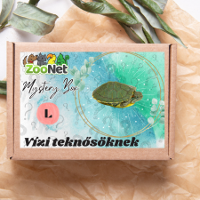  Mystery Box ajándékdoboz Vízi teknősöknek – L hüllőfelszerelés