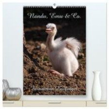  Nandu, Emu & Co. (hochwertiger Premium Wandkalender 2024 DIN A2 hoch), Kunstdruck in Hochglanz naptár, kalendárium