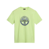  NAPAPIJRI S-Bollo SS 1 yellow sunny - póló M
