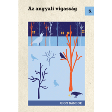 NAPKÚT Az angyali vigasság szépirodalom