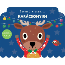 Napraforgó Számolj vissza... Karácsonyig kreatív és készségfejlesztő