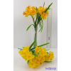  Nárcisz 5 szálas köteg 28cm - Napsárga
