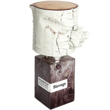 Nasomatto Blamage Extrait de Parfum 30 ml parfüm és kölni