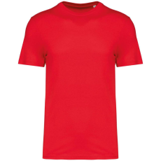 Native Spirit Native Spirit NS300 ECO-FRIENDLY UNISEX T-SHIRT 3XL
