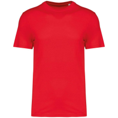 Native Spirit Native Spirit NS300 ECO-FRIENDLY UNISEX T-SHIRT 5XL