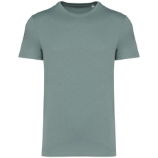 Native Spirit Native Spirit NS305 UNISEX ECO-FRIENDLY T-SHIRT 2XL