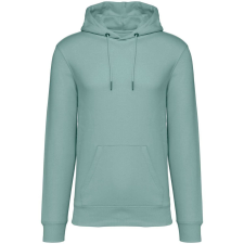 Native Spirit Native Spirit NS401 ECO-FRIENDLY UNISEX HOODED SWEATSHIRT XL férfi pulóver, kardigán