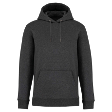 Native Spirit Native Spirit NS401 ECO-FRIENDLY UNISEX HOODED SWEATSHIRT XL