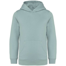 Native Spirit Native Spirit NS404 KIDS’ HOODED SWEATSHIRT 12/14 gyerek pulóver, kardigán