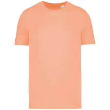 Native Spirit NS300 ECO-FRIENDLY UNISEX T-SHIRT 3XL női póló
