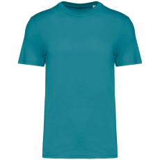  Native Spirit NS300 ECO-FRIENDLY UNISEX T-SHIRT 3XL