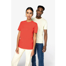  Native Spirit NS300 ECO-FRIENDLY UNISEX T-SHIRT L