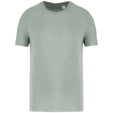Native Spirit NS300 ECO-FRIENDLY UNISEX T-SHIRT S munkaruha