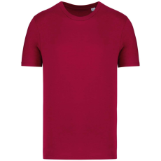 Native Spirit NS300 ECO-FRIENDLY UNISEX T-SHIRT XL