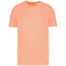 Native Spirit NS300 ECO-FRIENDLY UNISEX T-SHIRT XS munkaruha