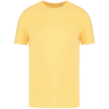 Native Spirit NS300 ECO-FRIENDLY UNISEX T-SHIRT XS munkaruha