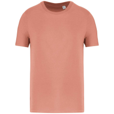 Native Spirit NS300 ECO-FRIENDLY UNISEX T-SHIRT XS munkaruha