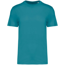Native Spirit NS300 ECO-FRIENDLY UNISEX T-SHIRT XS munkaruha