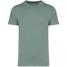  Native Spirit NS305 UNISEX ECO-FRIENDLY T-SHIRT L