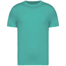 Native Spirit NS305 UNISEX ECO-FRIENDLY T-SHIRT XL