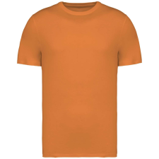 Native Spirit NS305 UNISEX ECO-FRIENDLY T-SHIRT XL munkaruha
