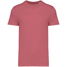 Native Spirit NS305 UNISEX ECO-FRIENDLY T-SHIRT XL