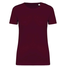 Native Spirit NS324 LADIES' T-SHIRT 2XL