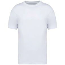 Native Spirit NS332 MEN'S OVERSIZED T-SHIRT XL