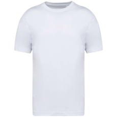 Native Spirit NS332 MEN'S OVERSIZED T-SHIRT XXS