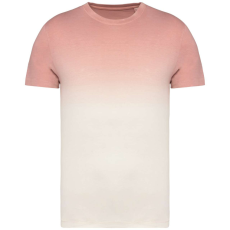 Native Spirit NS345 UNISEX ECO-FRIENDLY DIP DYE T-SHIRT 2XL