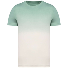 Native Spirit NS345 UNISEX ECO-FRIENDLY DIP DYE T-SHIRT M