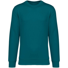 Native Spirit NS400 ECO-FRIENDLY UNISEX ROUND NECK SWEATSHIRT 2XL férfi pulóver, kardigán