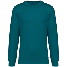 Native Spirit NS400 ECO-FRIENDLY UNISEX ROUND NECK SWEATSHIRT XS