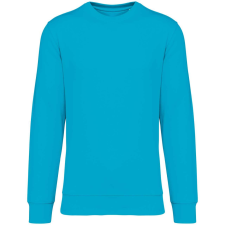 Native Spirit NS400 ECO-FRIENDLY UNISEX ROUND NECK SWEATSHIRT XXS munkaruha
