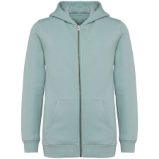  Native Spirit NS405 ECO-FRIENDLY KIDS’ FULL ZIP HOODED SWEATSHIRT 12/14 gyerek pulóver, kardigán