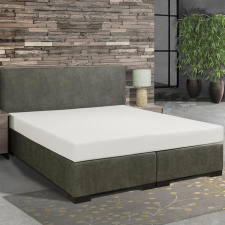  Natúr prémium bambuszos gumis lepedő 180x200 cm és 200x220 cm-es matracra lakástextília