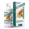 Natur Tanya® Natur Tanya® Fermentált Papaya amlával 500ml koncentrátum