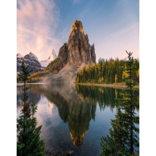  Natura100 öntapadós tapéta, 150 x 205 cm tapéta, díszléc és más dekoráció