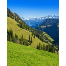  Natura135 öntapadós tapéta, 150 x 205 cm tapéta, díszléc és más dekoráció