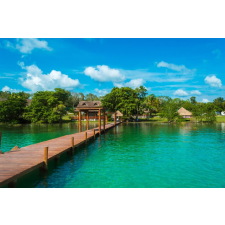  Natura29 öntapadós és mosható fali tapéta, 250 x 150 cm tapéta, díszléc és más dekoráció