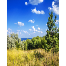  Natura48 matrica tapéta, 150 x 205 cm tapéta, díszléc és más dekoráció